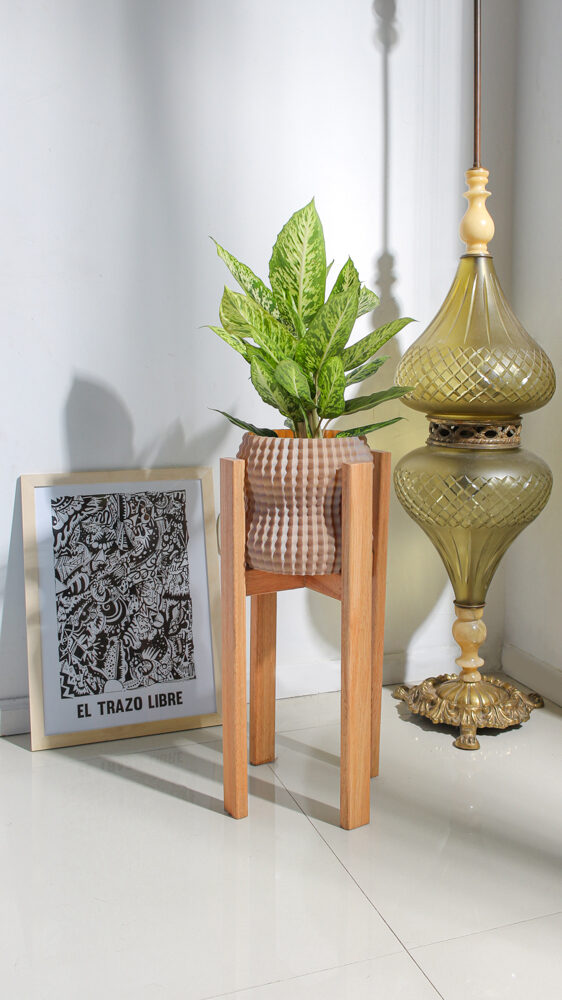 Cacto Flowerpot 1
